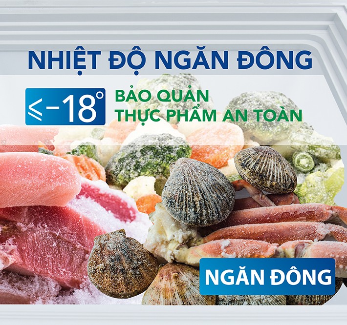 Tủ đông hòa phá 400l 2 chế độ